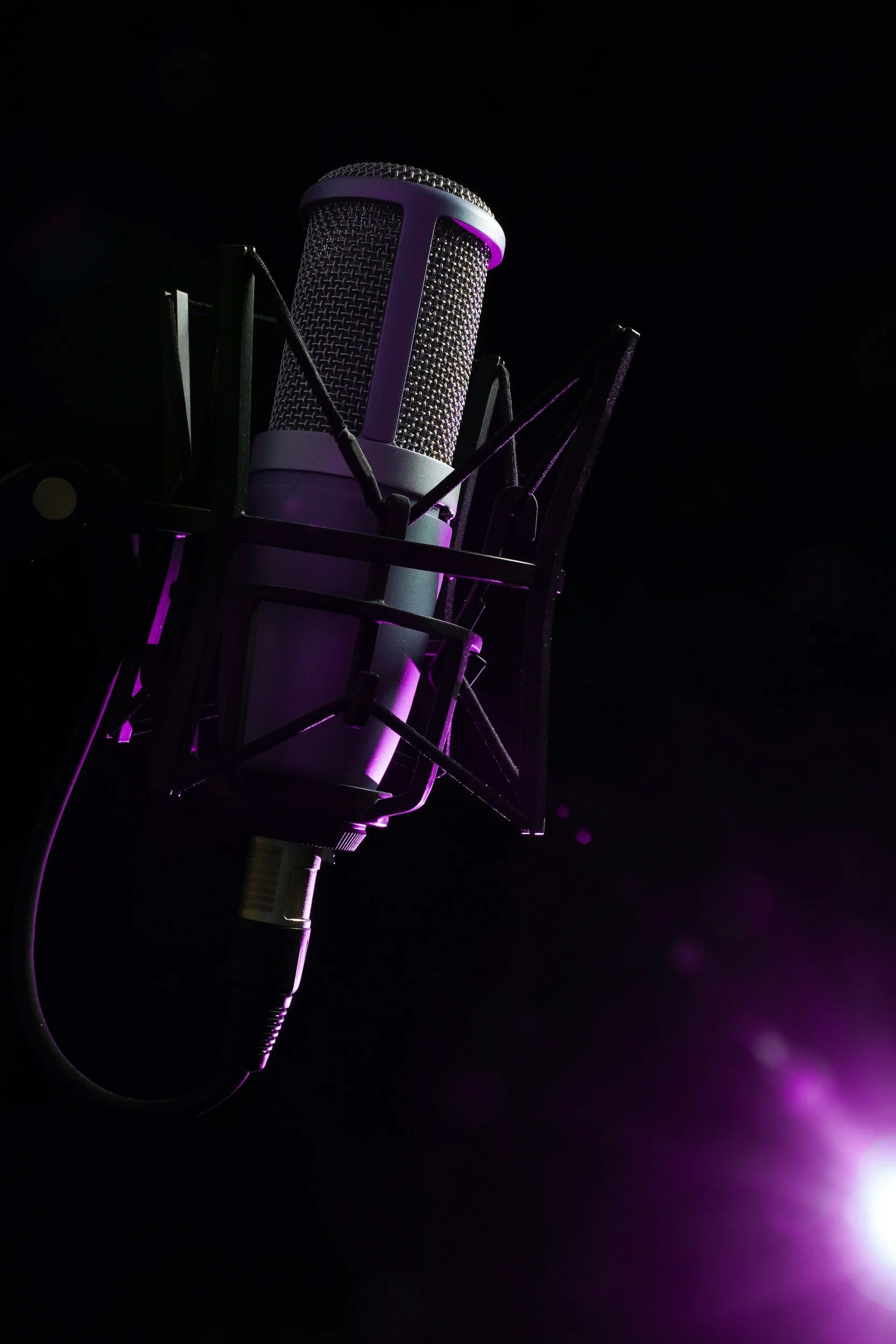 A professional studio microphone suspended in a shock mount against a dark background, illuminated by purple lighting.