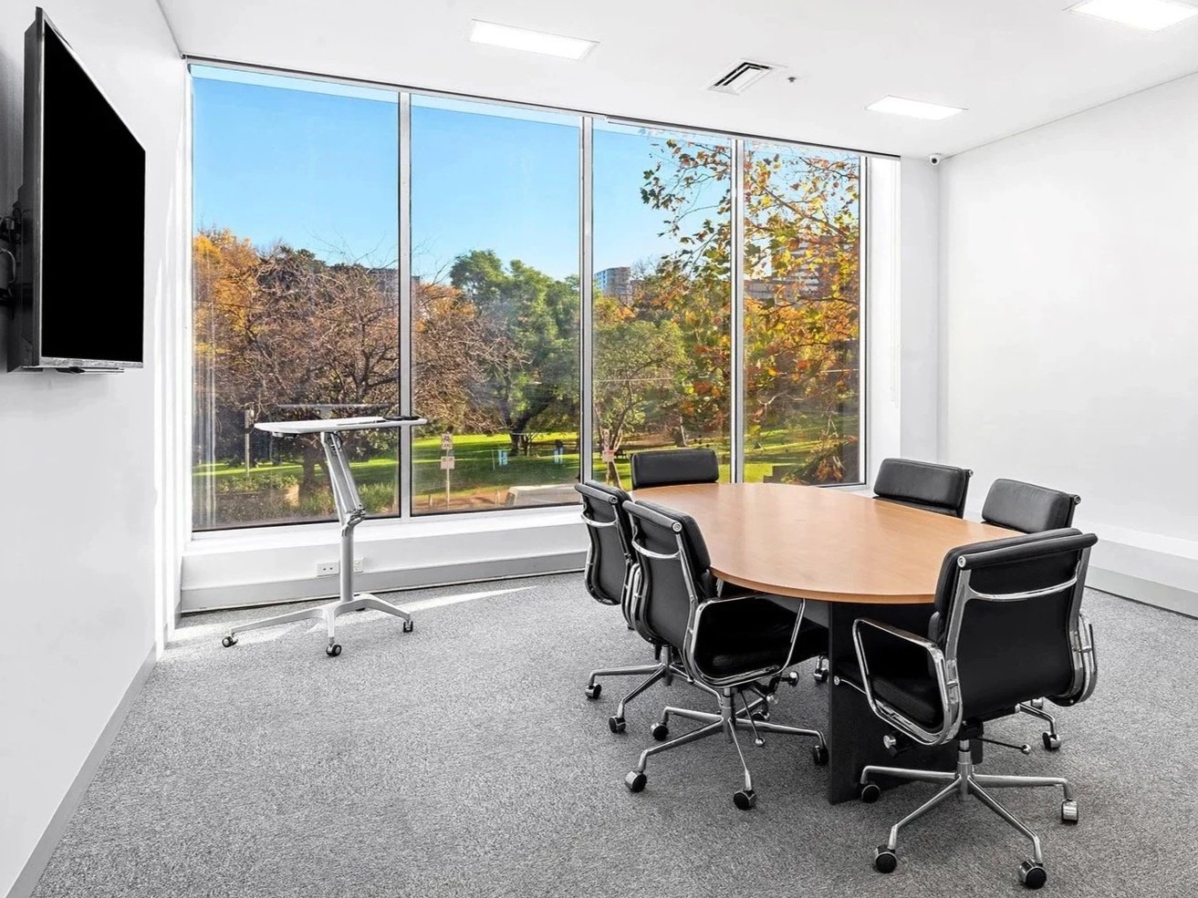 Flagstaff Mediation Centre - Flagstaff Mediation Room 1 with a large window overlooking Flagstaff Gardens with trees and autumn foliage. The room features a round wooden table surrounded by six black office chairs and a wall-mounted flat-screen TV.