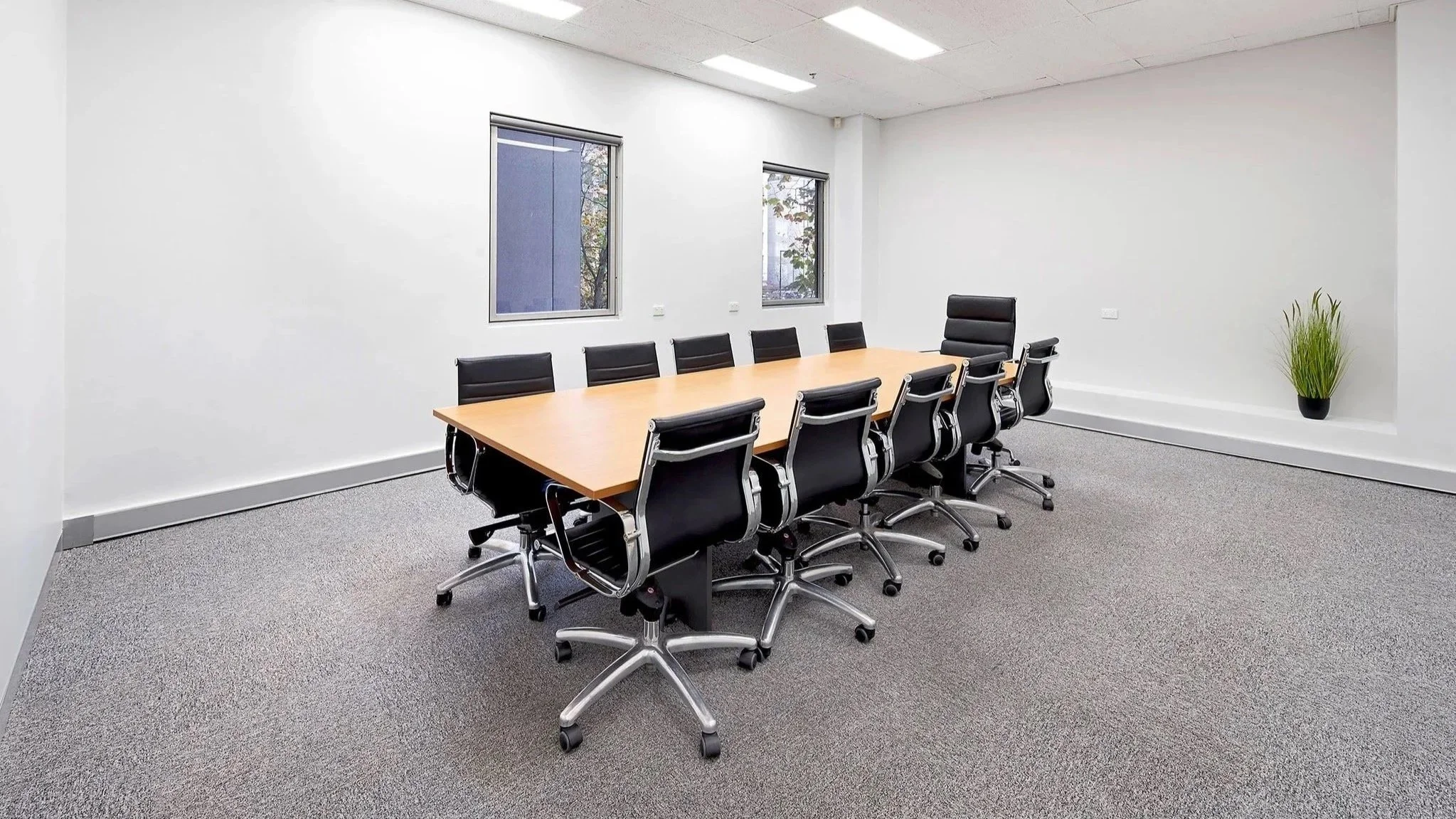 Flagstaff Mediation Centre Melbourne, large mediation room with a large wooden table, eleven black leather chairs, grey carpet, two windows, potted plant, and white walls.