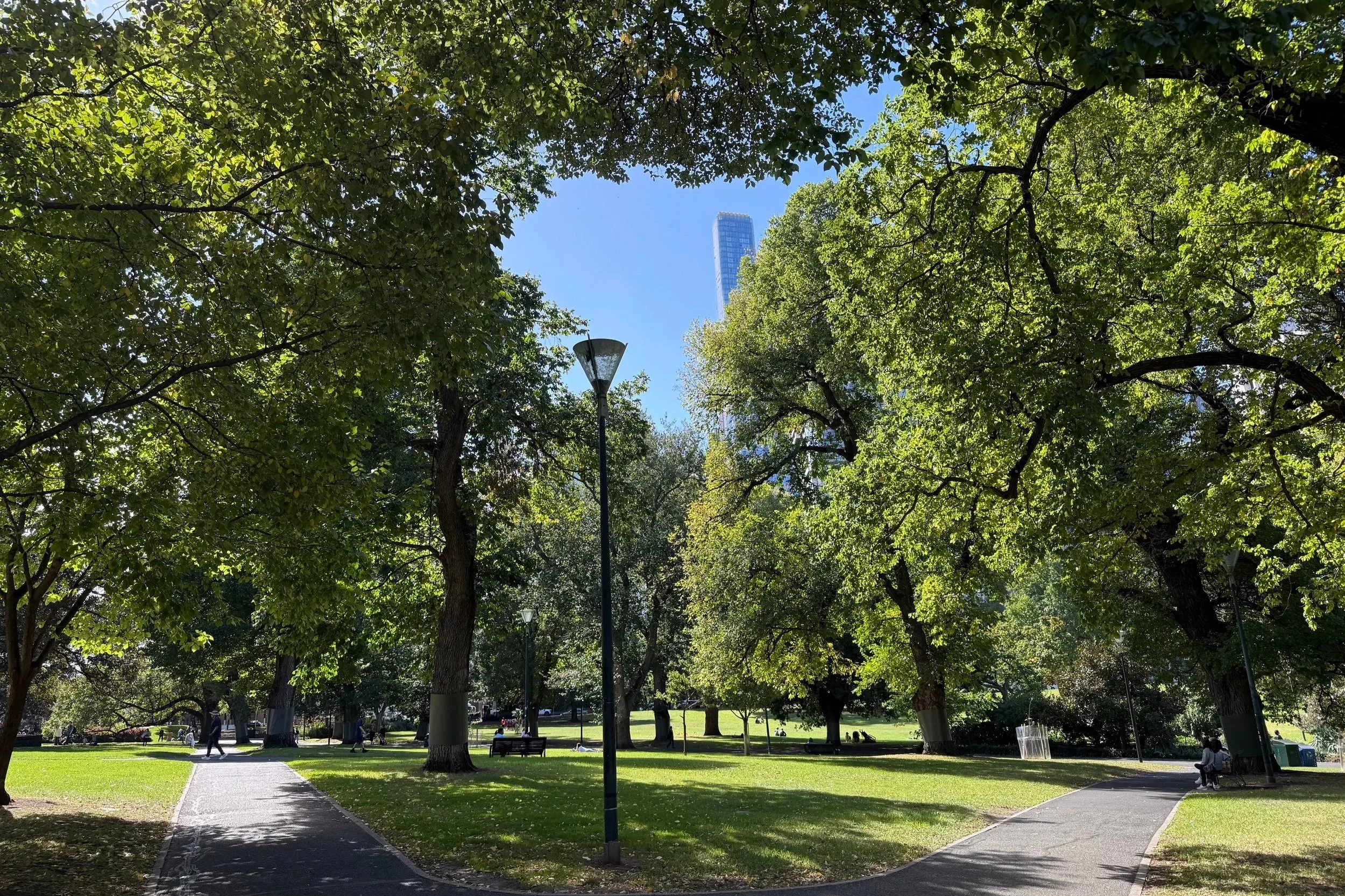 A city park, Flagstaff Gardens, near Flagstaff Mediation Centre Melbourne, with tall trees, a pathway, benches, people seated and walking, a streetlamp, and a tall building in the background under a clear blue sky.