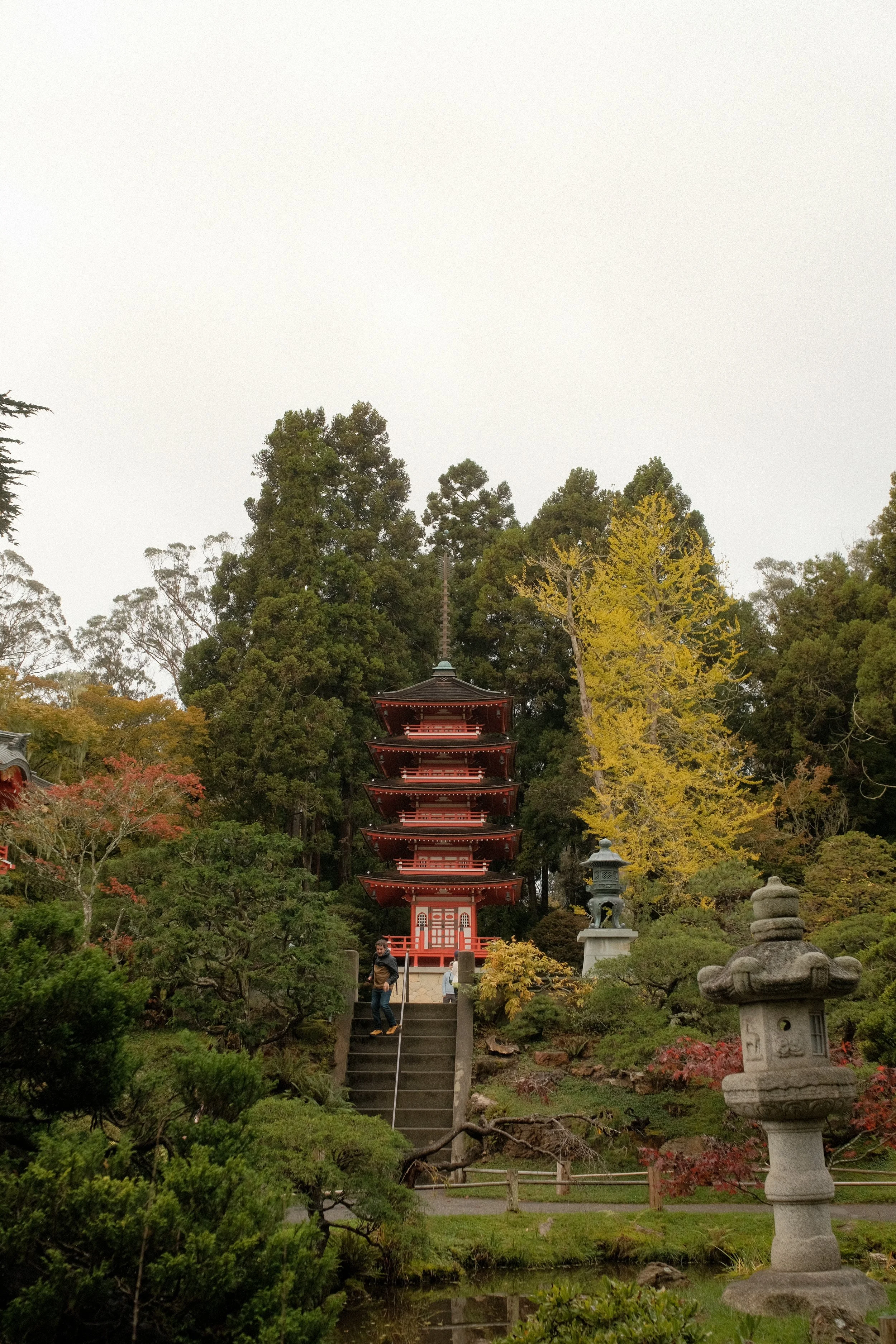DSCF7054.jpg