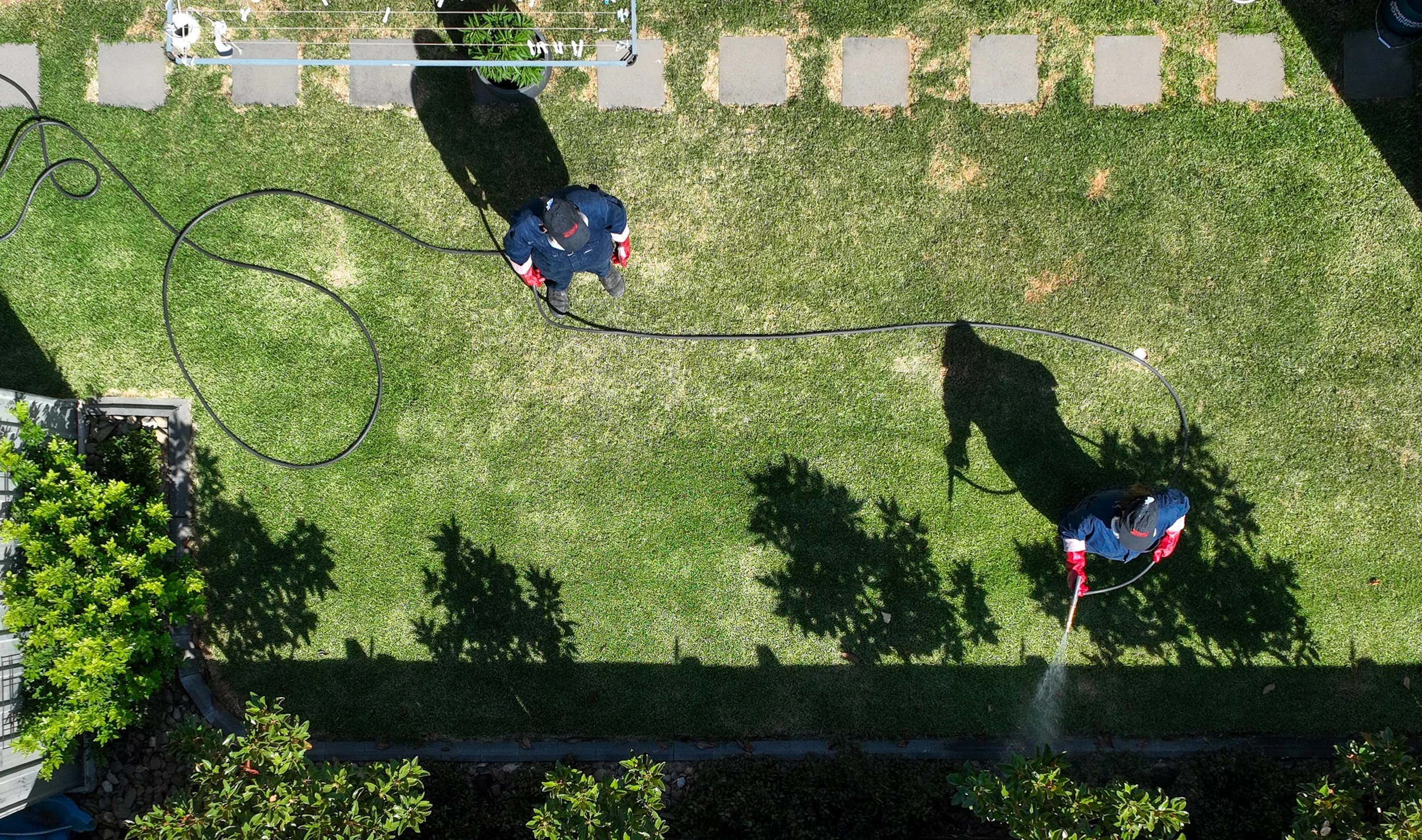 Overhead view of two workers cleaning a backyard lawn with hoses, wearing dark uniforms and red gloves, with shadows cast on the grass.