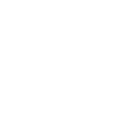 Illustration of a flea in white on a black background