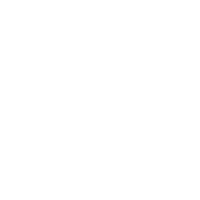 White line drawing of a chameleon on a black background.