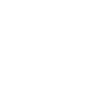 White outline of a beetle on a black background