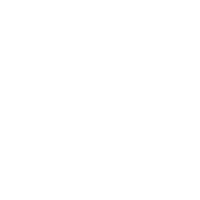 White spider graphic on black background