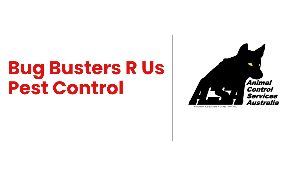 Bug Busters R Us Pest Control