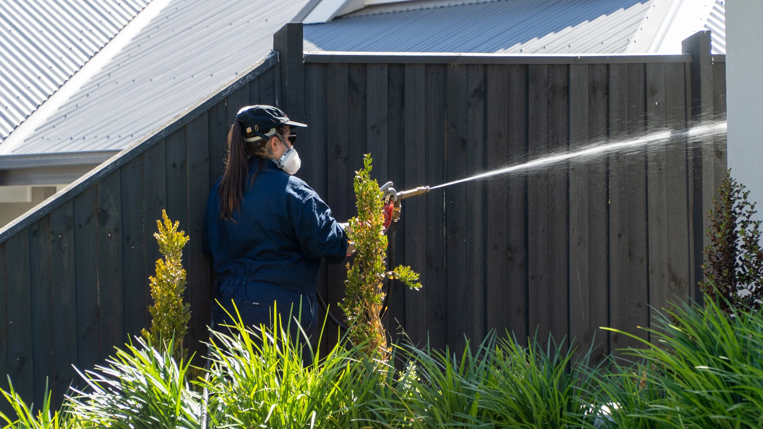 A woman wearing a black cap, sunglasses, and a face mask is watering plants in a garden using a garden hose, with a black wooden fence and a house with a gray metal roof in the background.