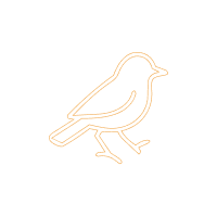 Outline drawing of a bird on black background