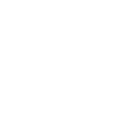 Line drawing of a small bird standing on the ground