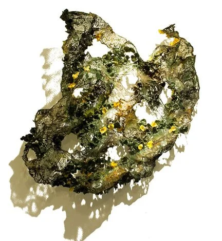 A close-up of a seaweed snack with a textured, crispy appearance, scattered with small yellow flakes.