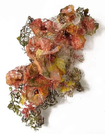A cluster of dried, colorful leaves and plant material with a delicate, web-like appearance on a white background.