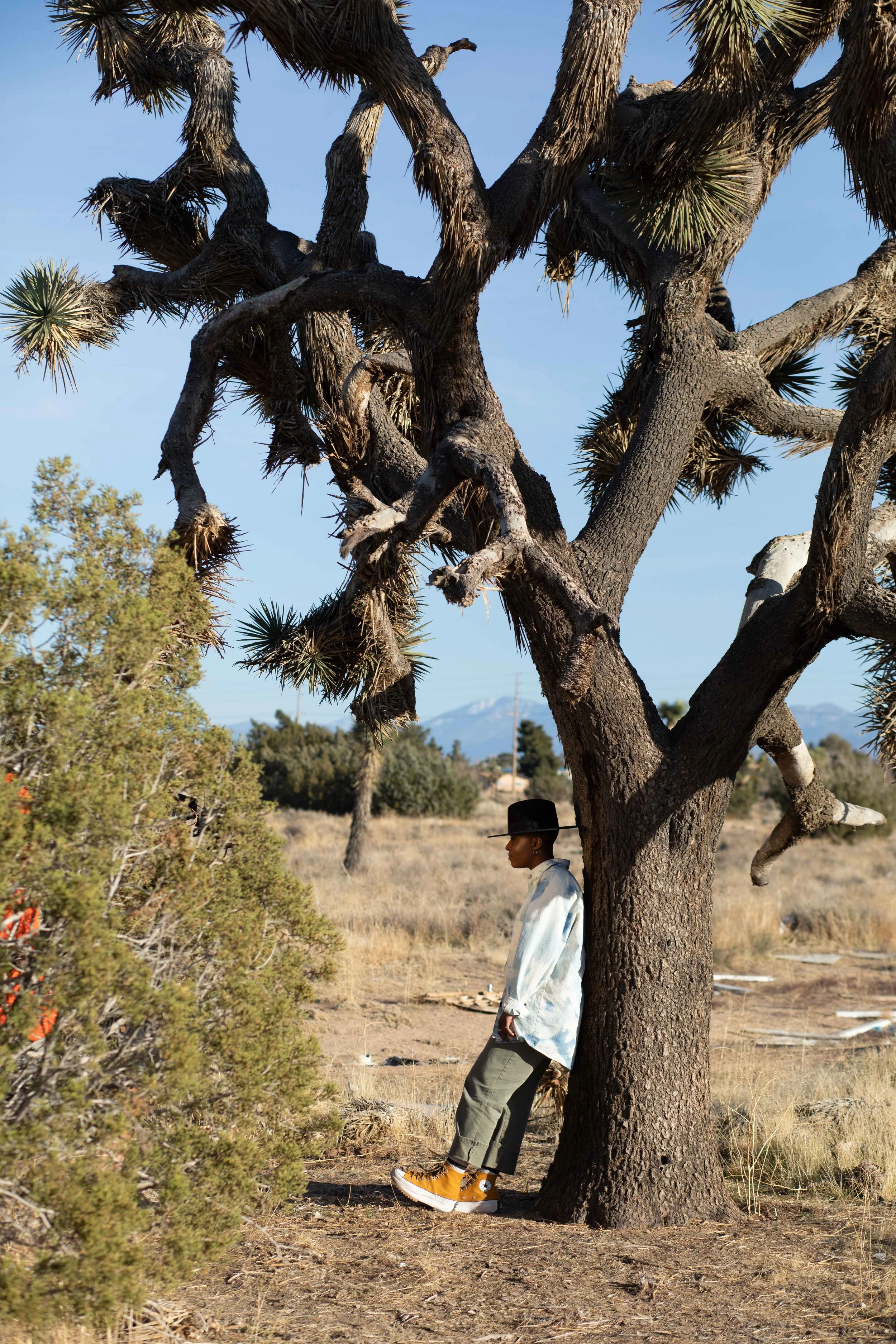 Hailes  wearing a black hat, light colored shirt, gray pants, and bright yellow shoes leaning against a large desert tree in a dry landscape in Escape