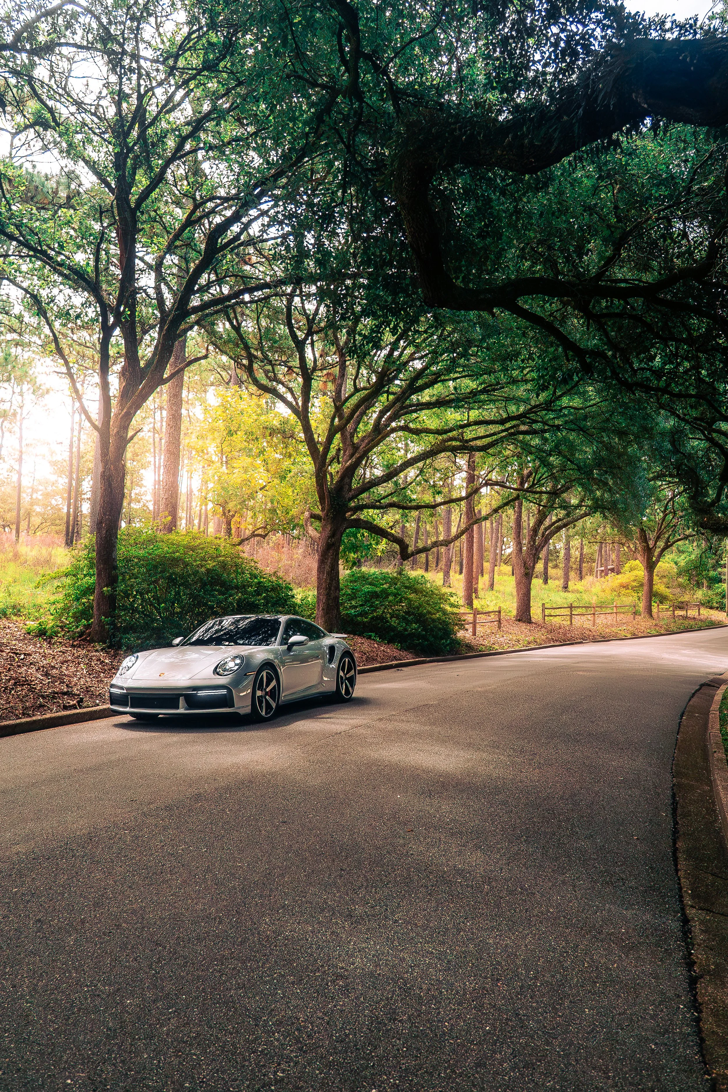 A silver Porsche 911 parked on a curved suburban road lined with trees and greenery during daytime.