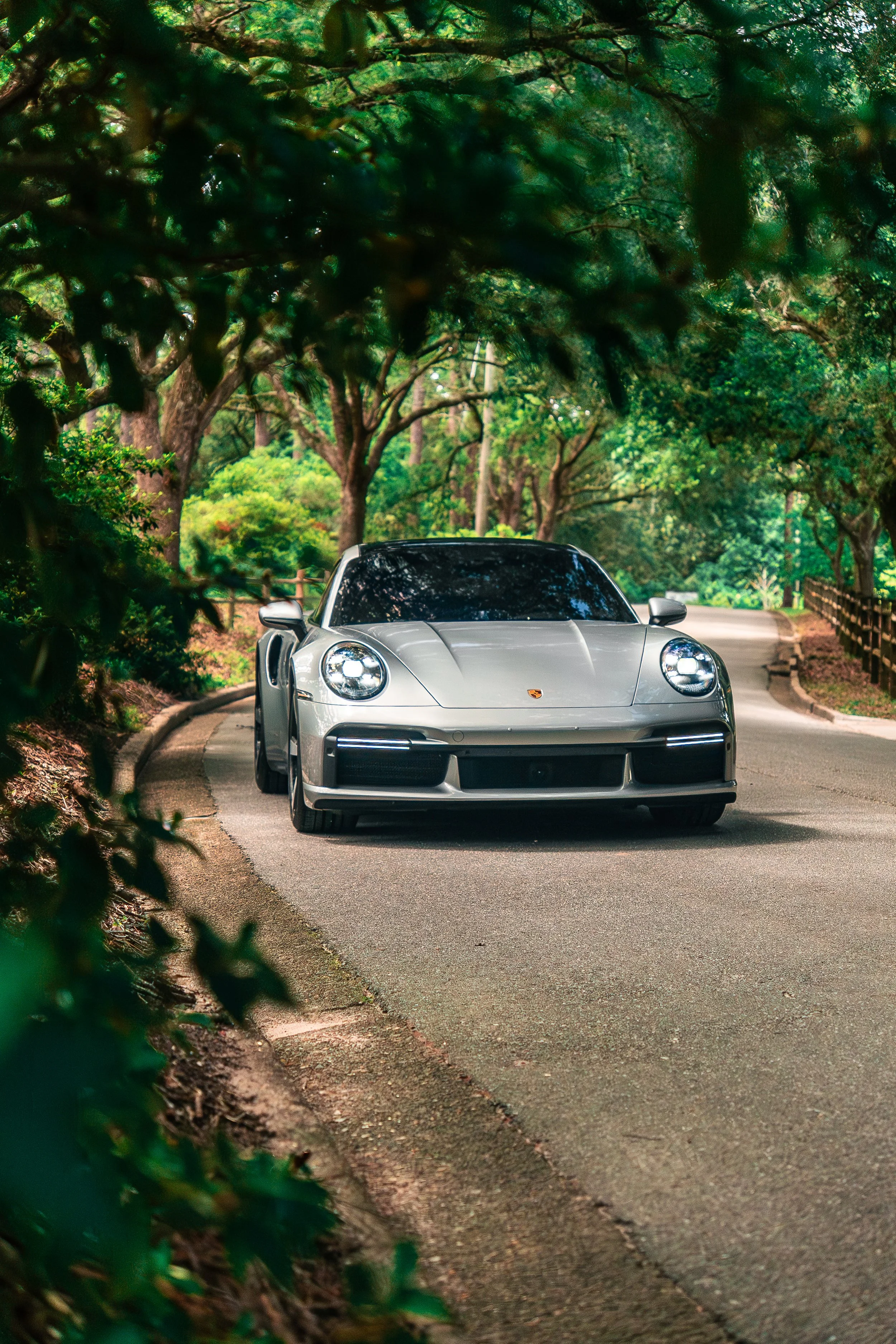 A silver Porsche 911 parked on a winding road surrounded by tall green trees and foliage.