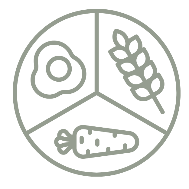 Illustration of a healthy food plate divided into three sections: an egg, a wheat stalk, and a carrot.