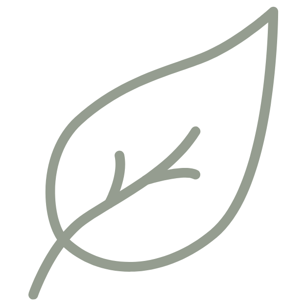 Outline drawing of a leaf with visible veins on a black background.