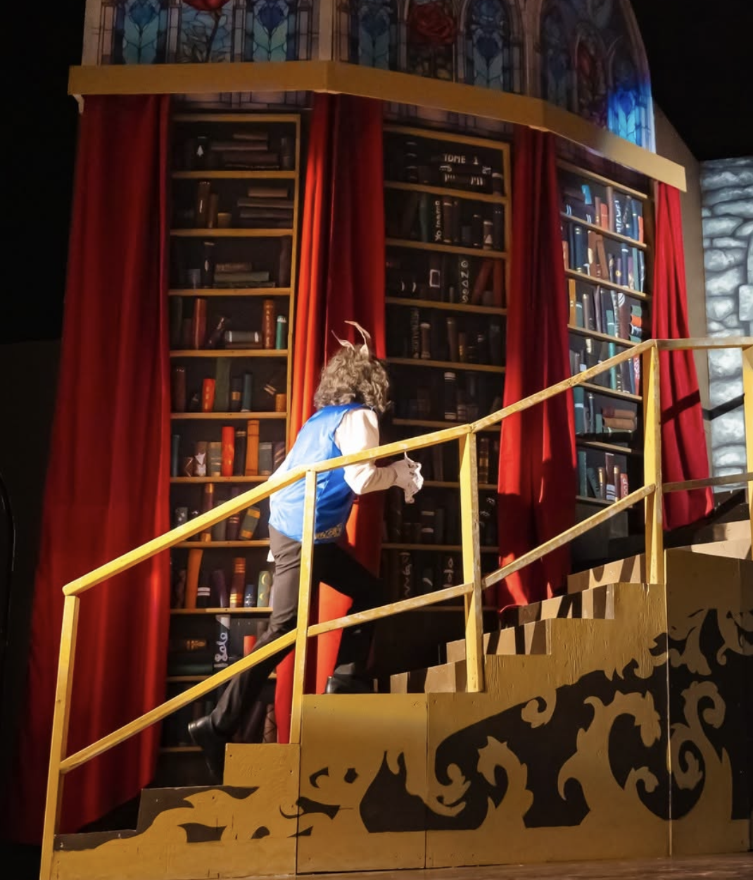 Mur de Bibliothèque (Livres)