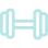 A dumbbell with a blue handle and black weights on either side