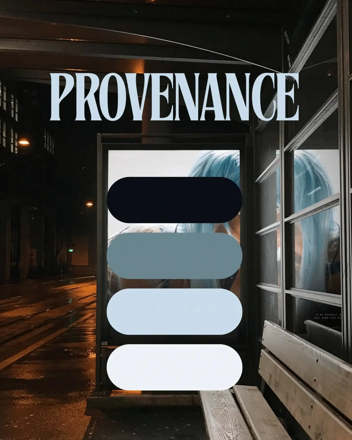 Provenance started with one question: what happens to identity once everything about you can be scanned, logged, and verified.

We built the brand around that discomfort instead of softening it. Steel blue, silver, near black, biometric linework draw