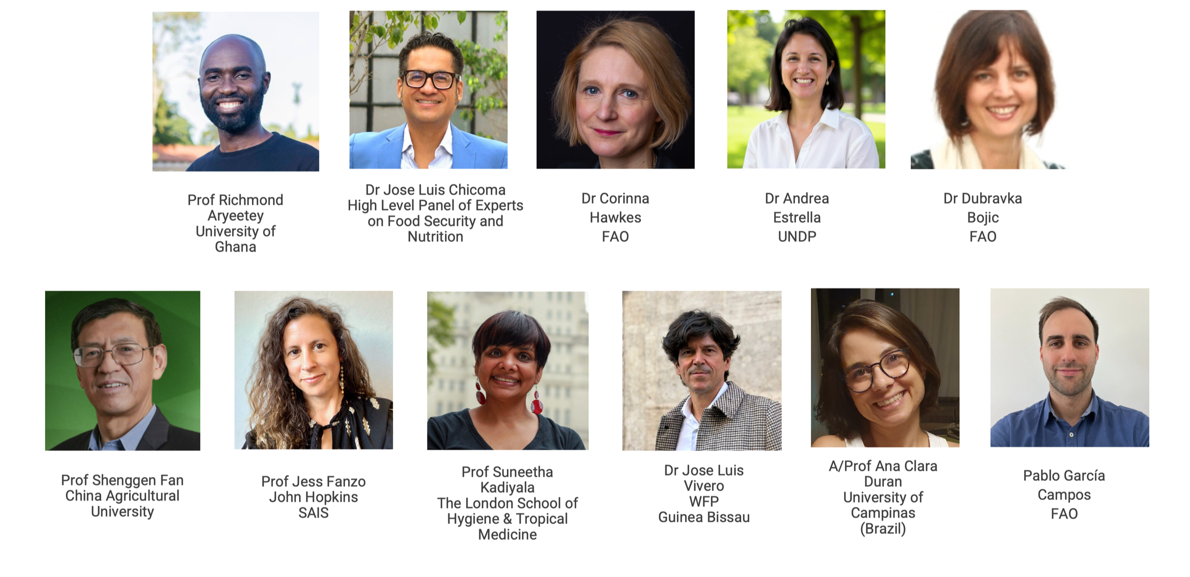International Advisory Group of the Food System Governance Strengthening Framework