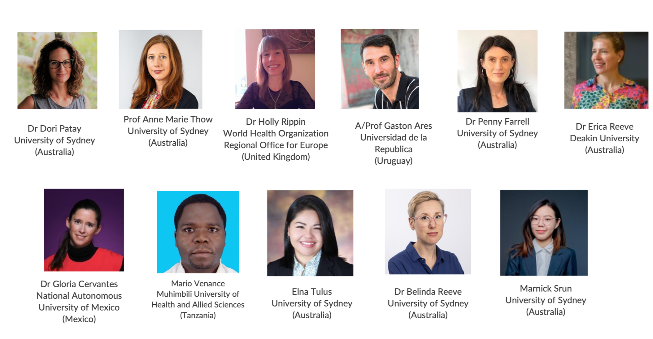 The Food System Governance Strengthening Framework research team