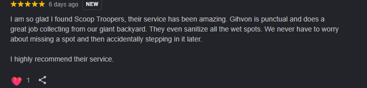 Screenshot of a review praising Scoop Troopers for their service, mentioning their punctuality, great job collecting wet spots, and their cleaning after sanitation.