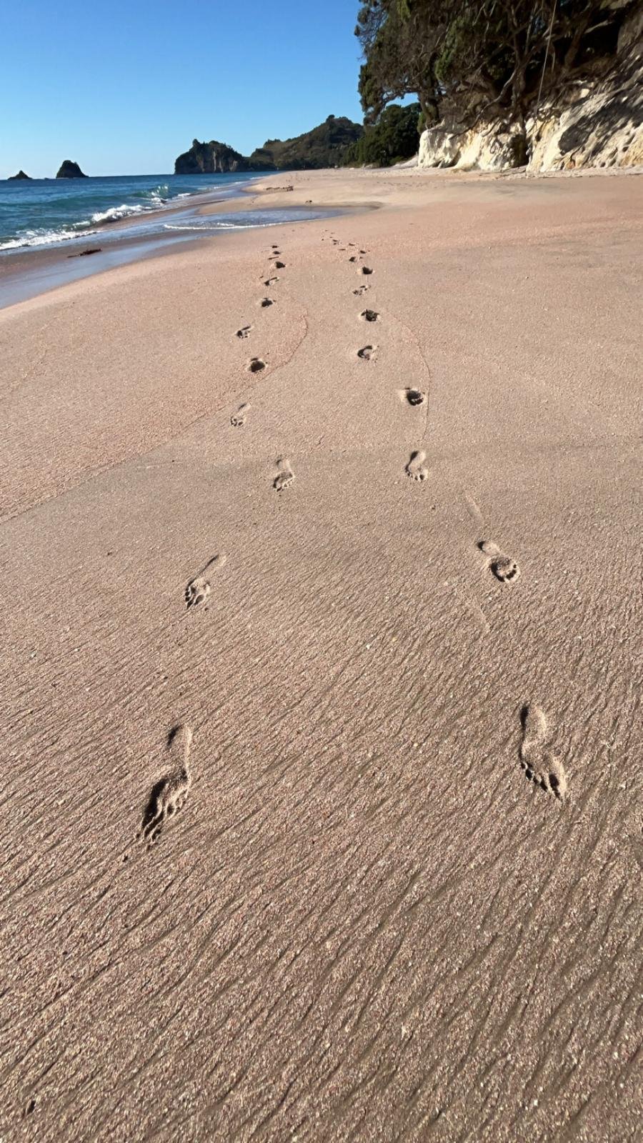 Footprints in the wet sand on a beach, with a coastline and trees in the background under a clear blue sky.