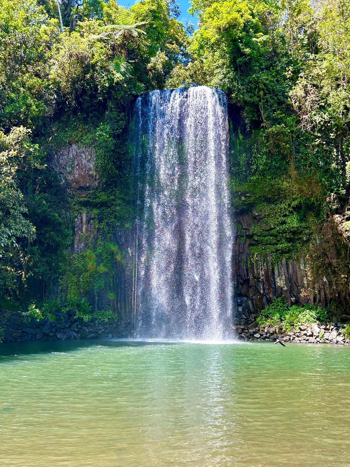 Waterfall cascading into a pool surrounded by lush green foliage and rocks.