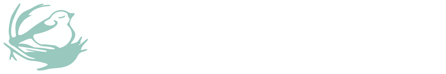 Nestling-Sleep Coach