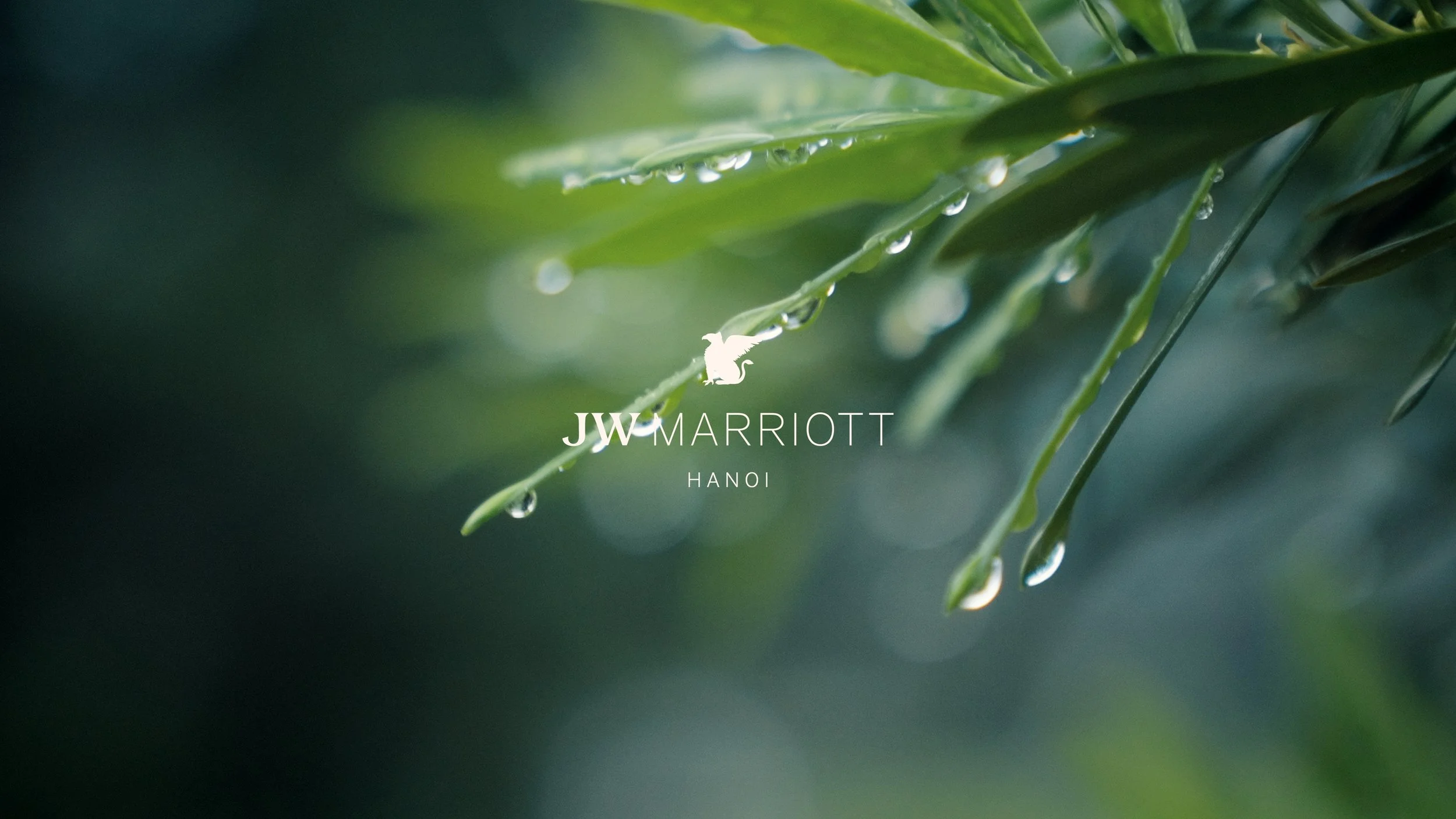 JW Marriott Hanoi