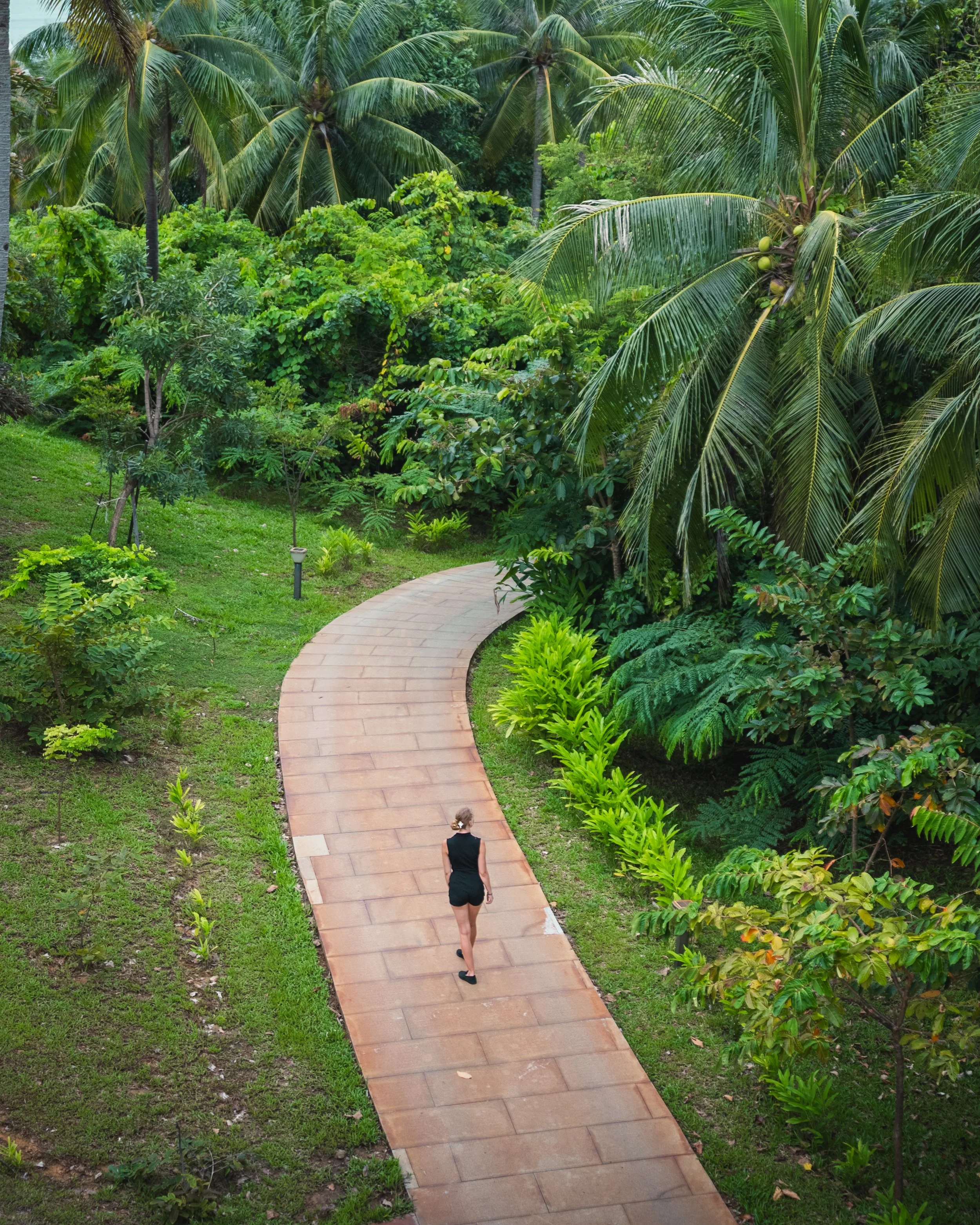 Koh Totung-143.jpg