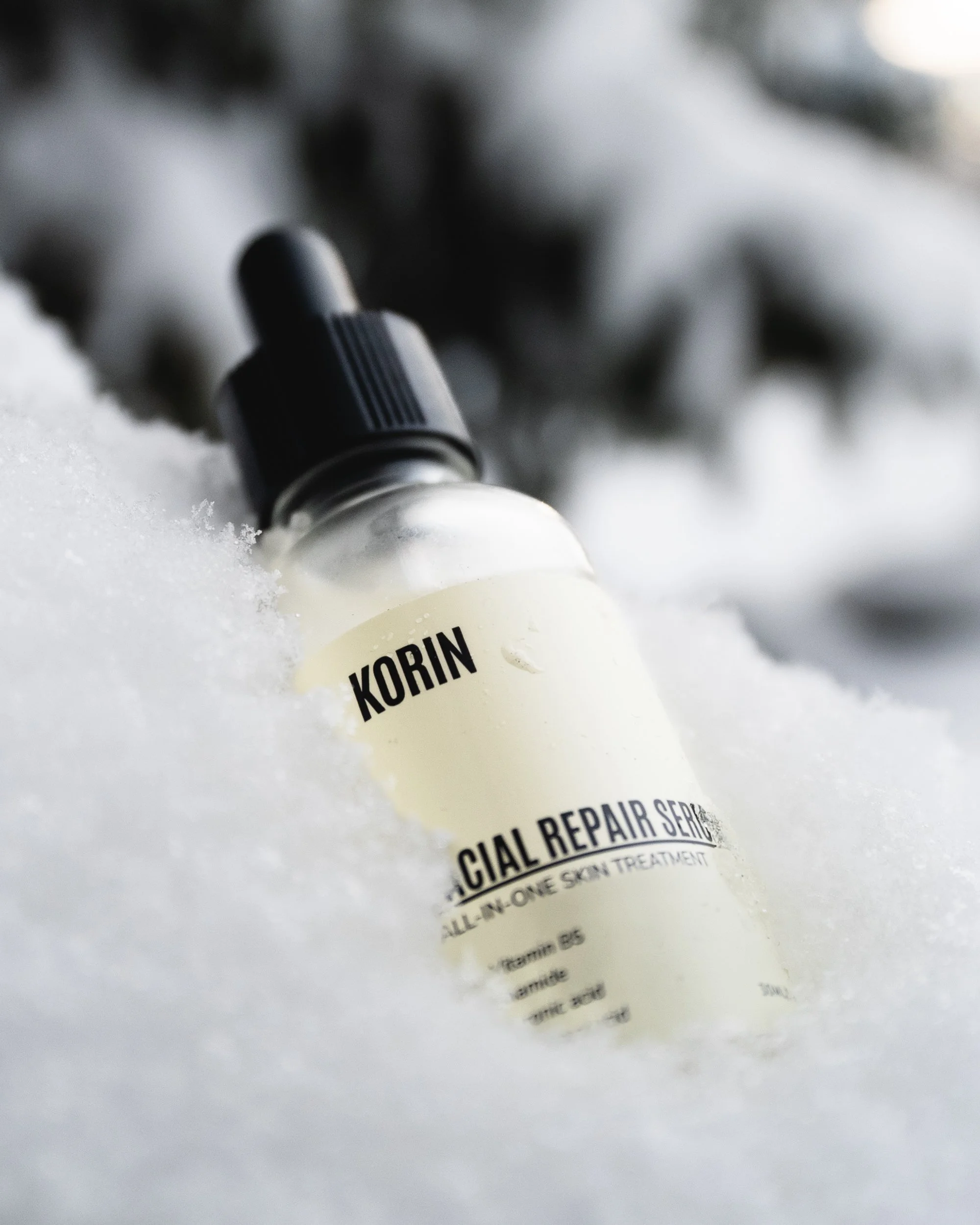 KORIN_01826.jpg