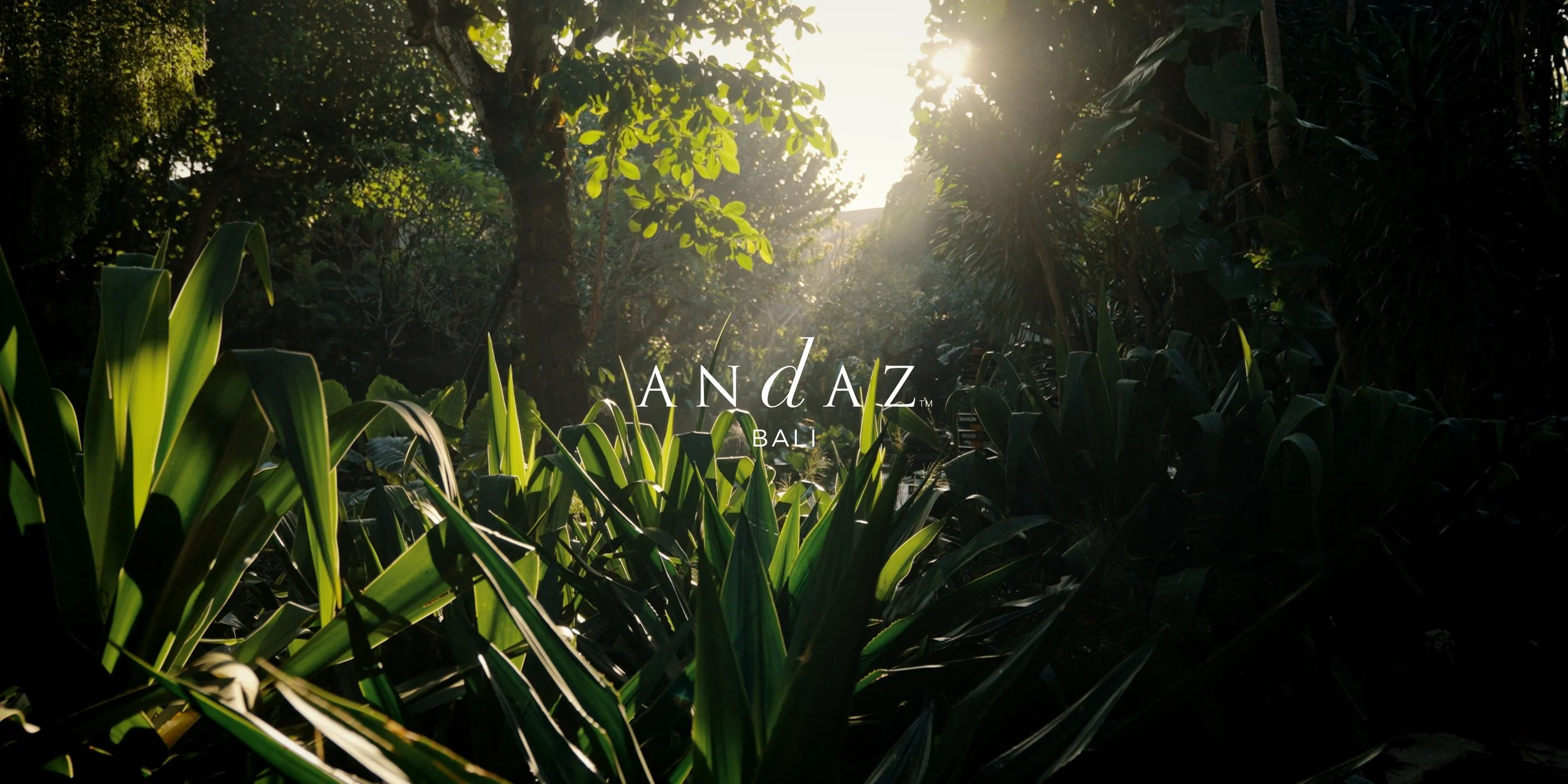 MAIN EDIT_ANDAZ BALI_01_23_42_14.jpg