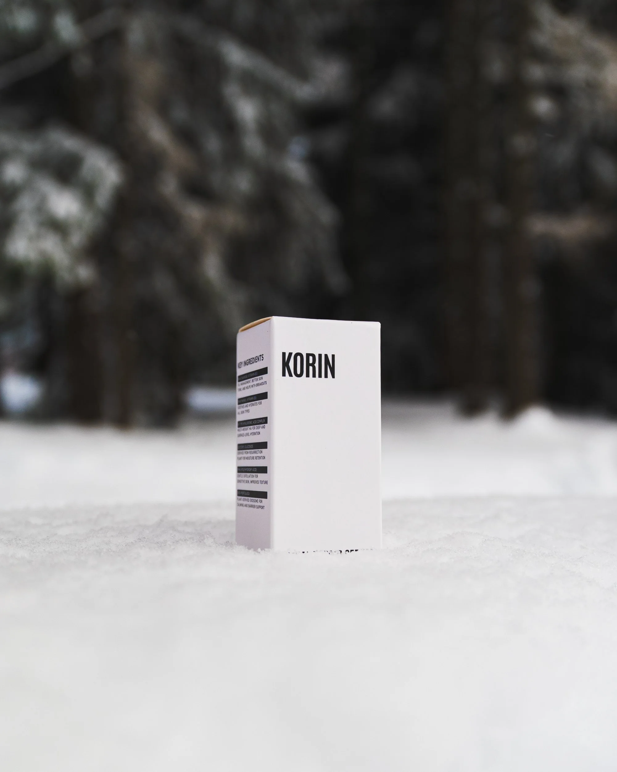 KORIN_01795.jpg