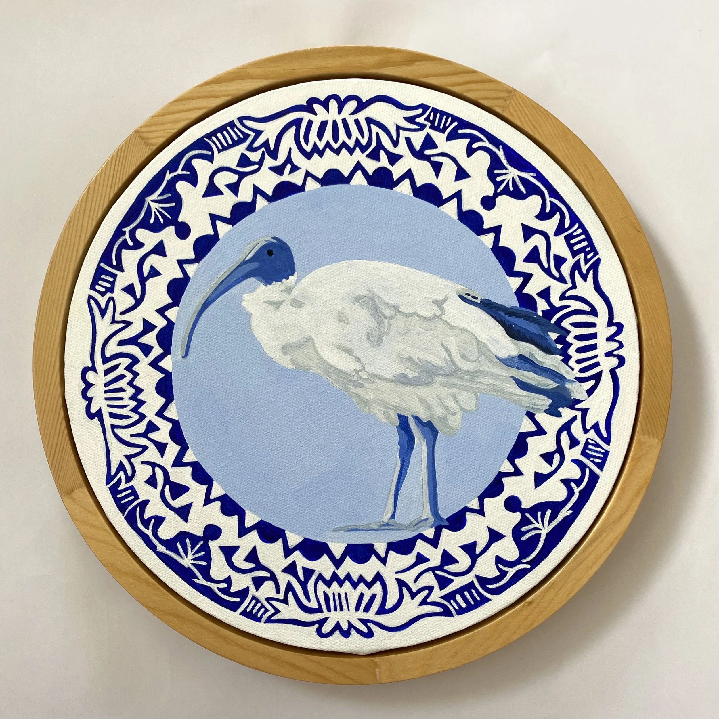 Unloved Birds of Australia