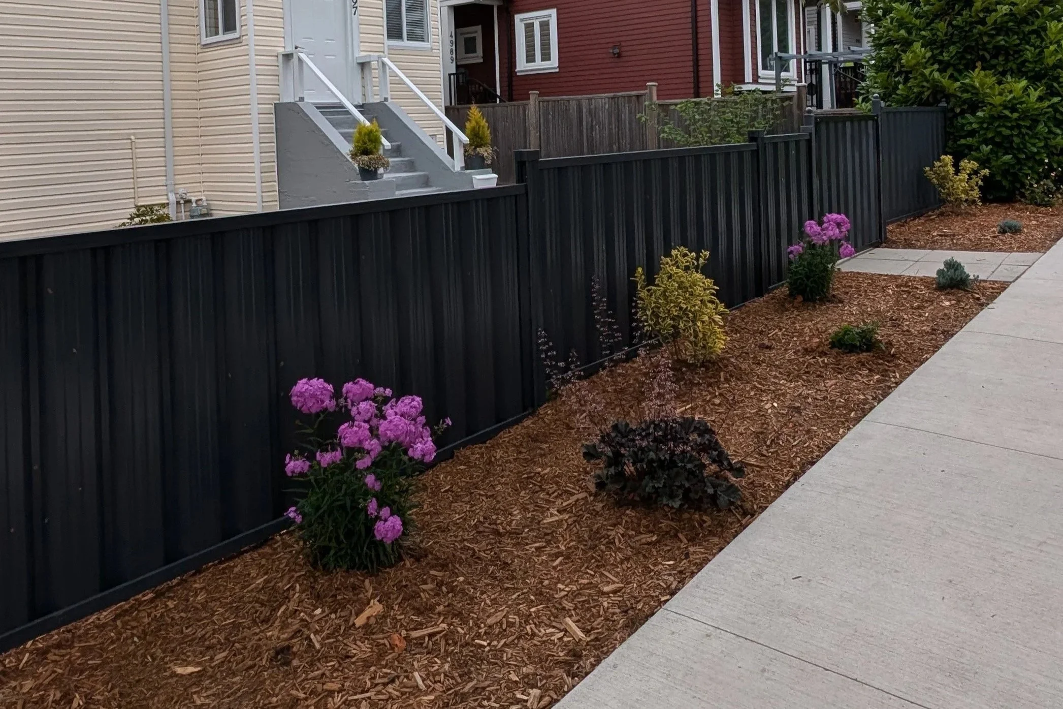 Modern, grey metal fence with mulch bed and flowering plants - Vancouver