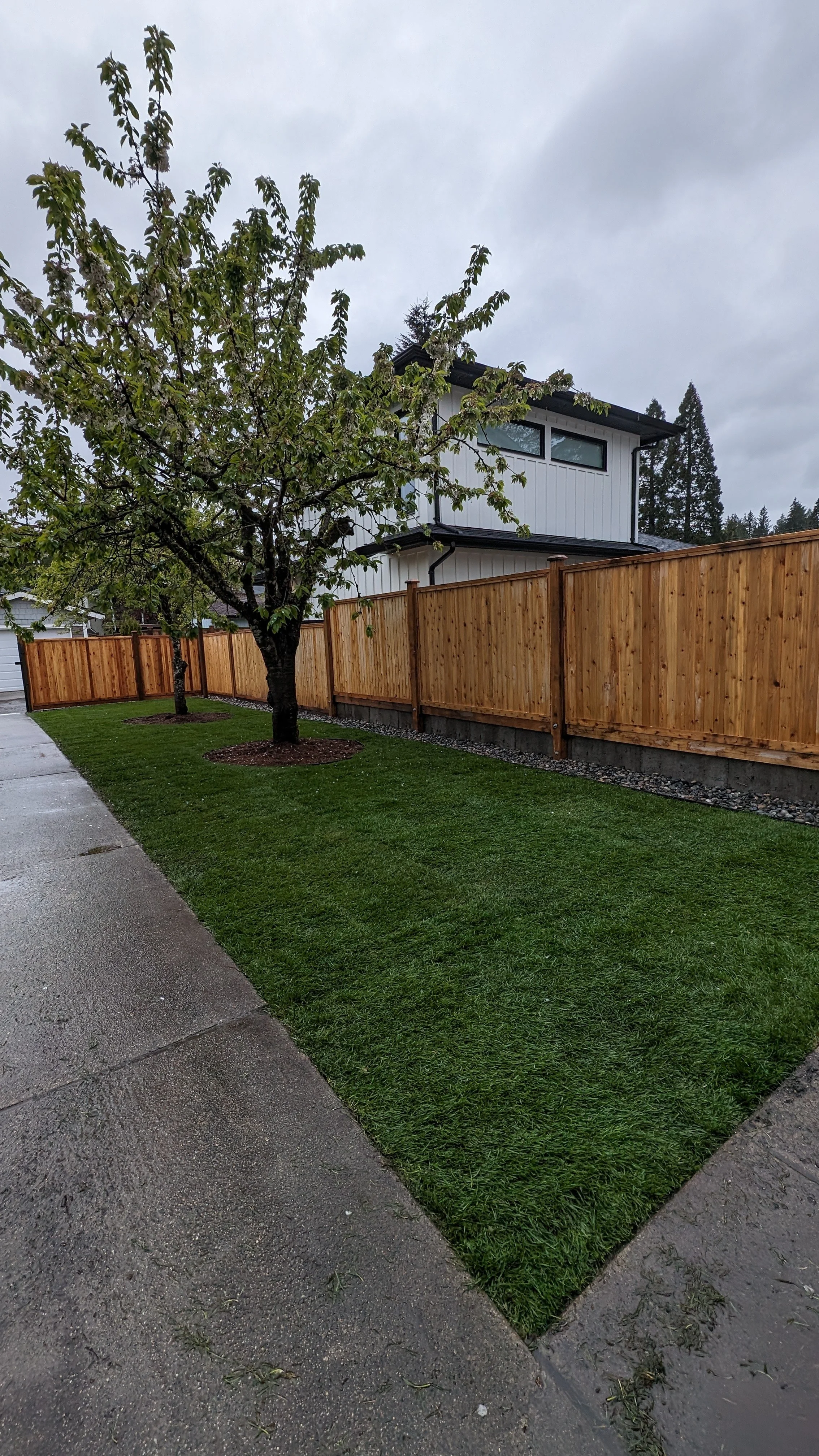 Artificial Turf vs. Natural Sod: Which Is Right for a Tri-Cities Yard?