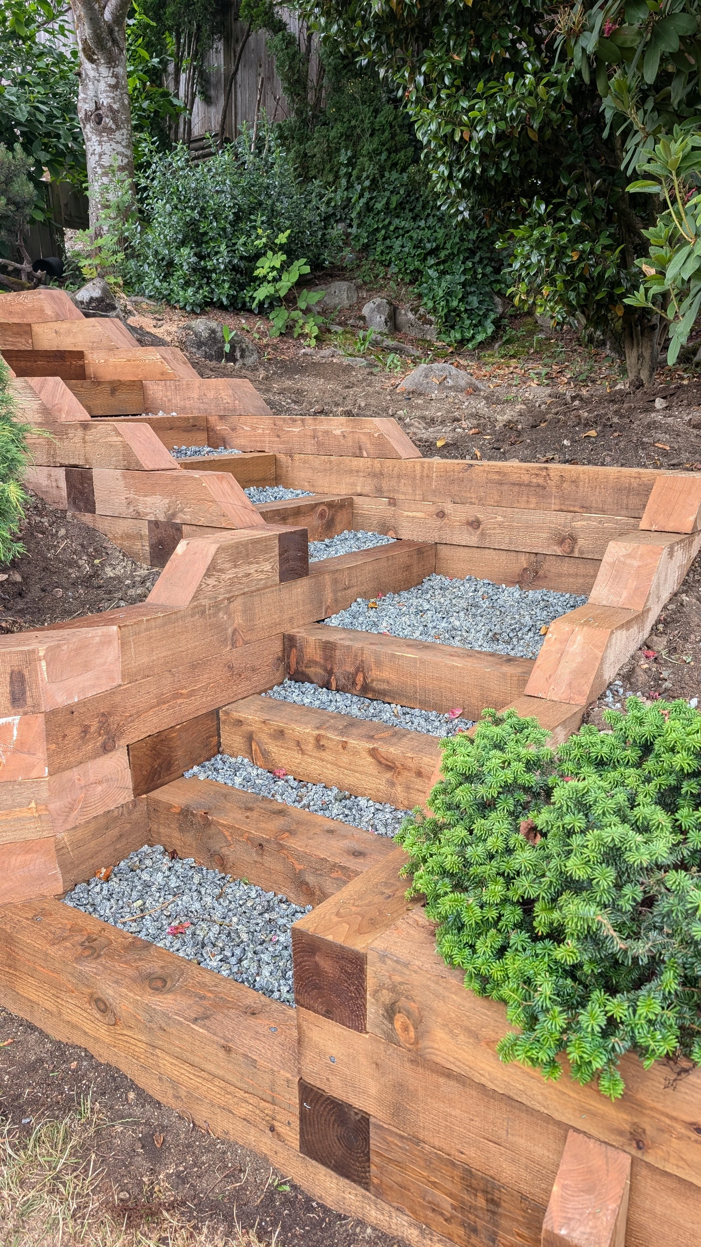 Wooden lumber steps with gravel landing - Port Coquitlam backyard