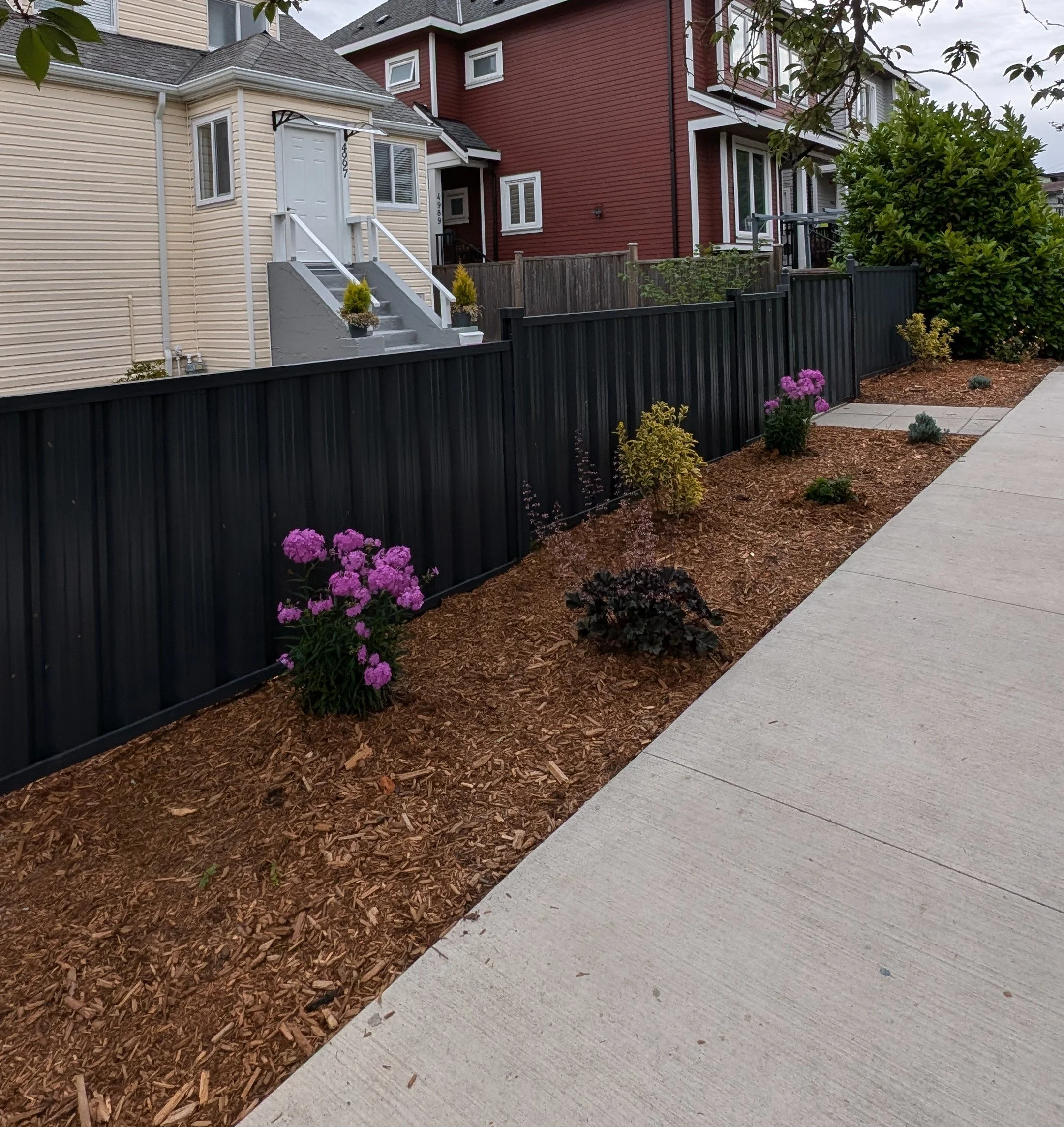 Modern grey fence with mulched garden bed and paver walkway - Vancouver, BC front yard