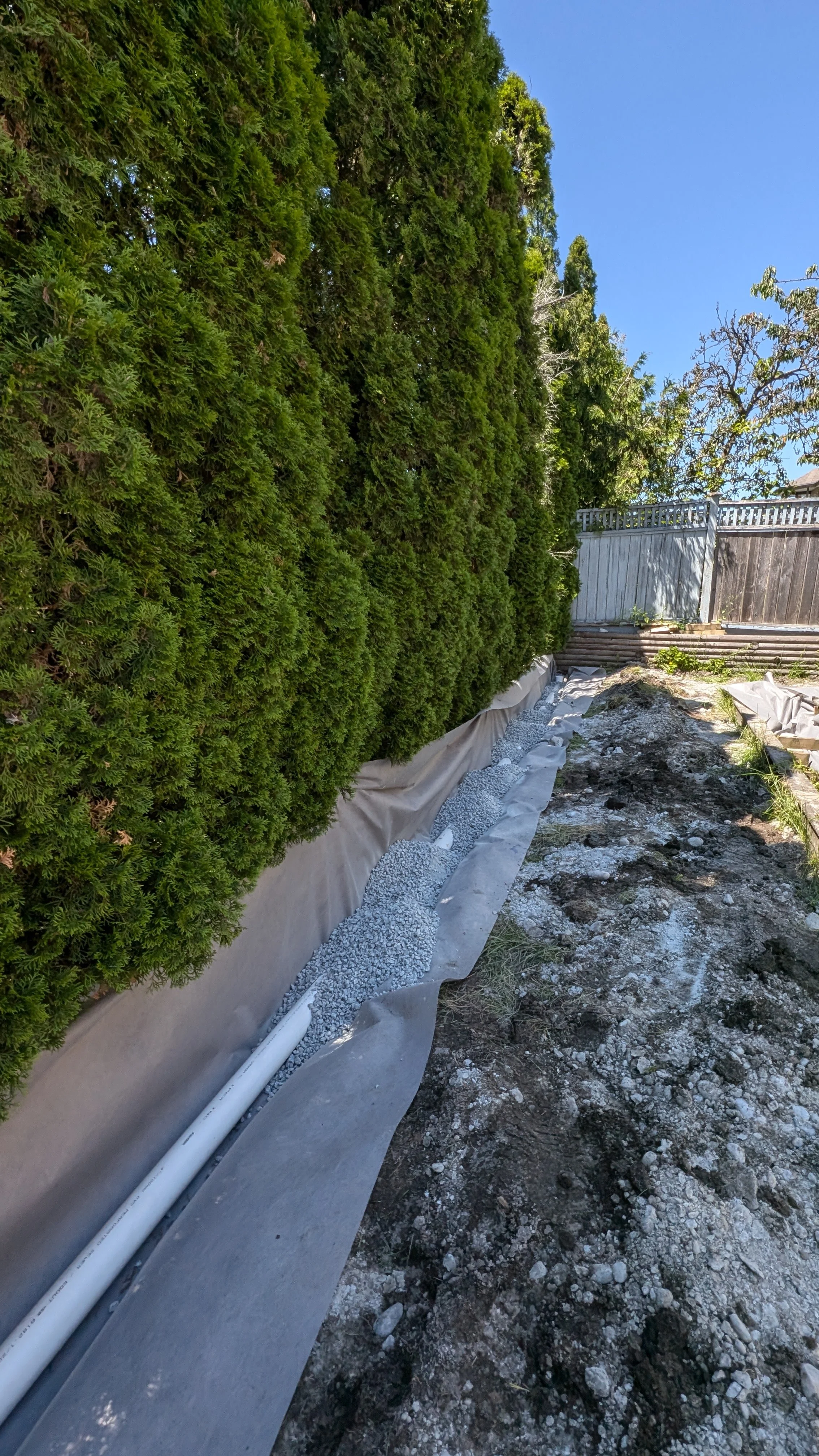 French drain installation - Port Coquitlam, backyard