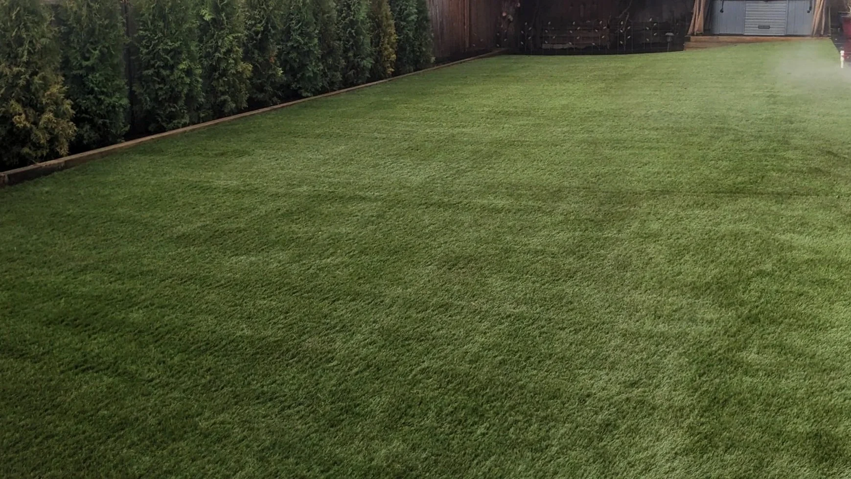 Artificfial landscape turf - Delta, backyard