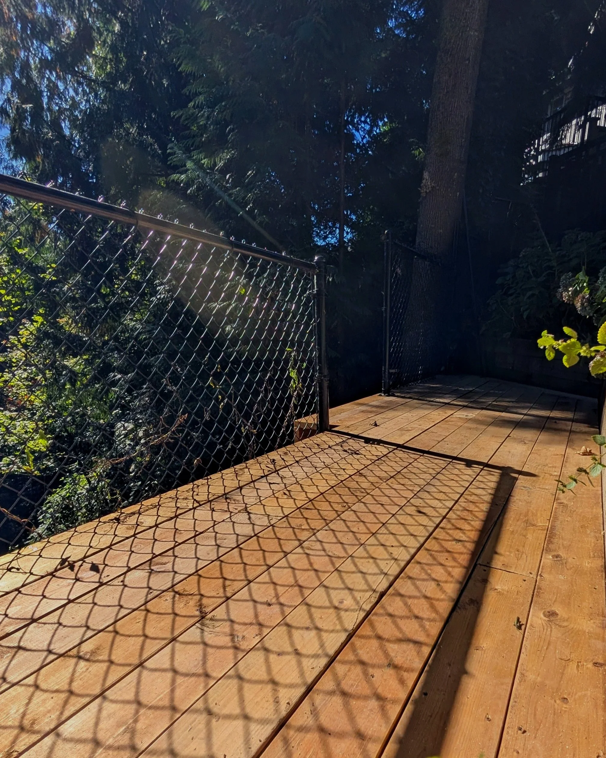 Wooden deck - Port Moody, backyard