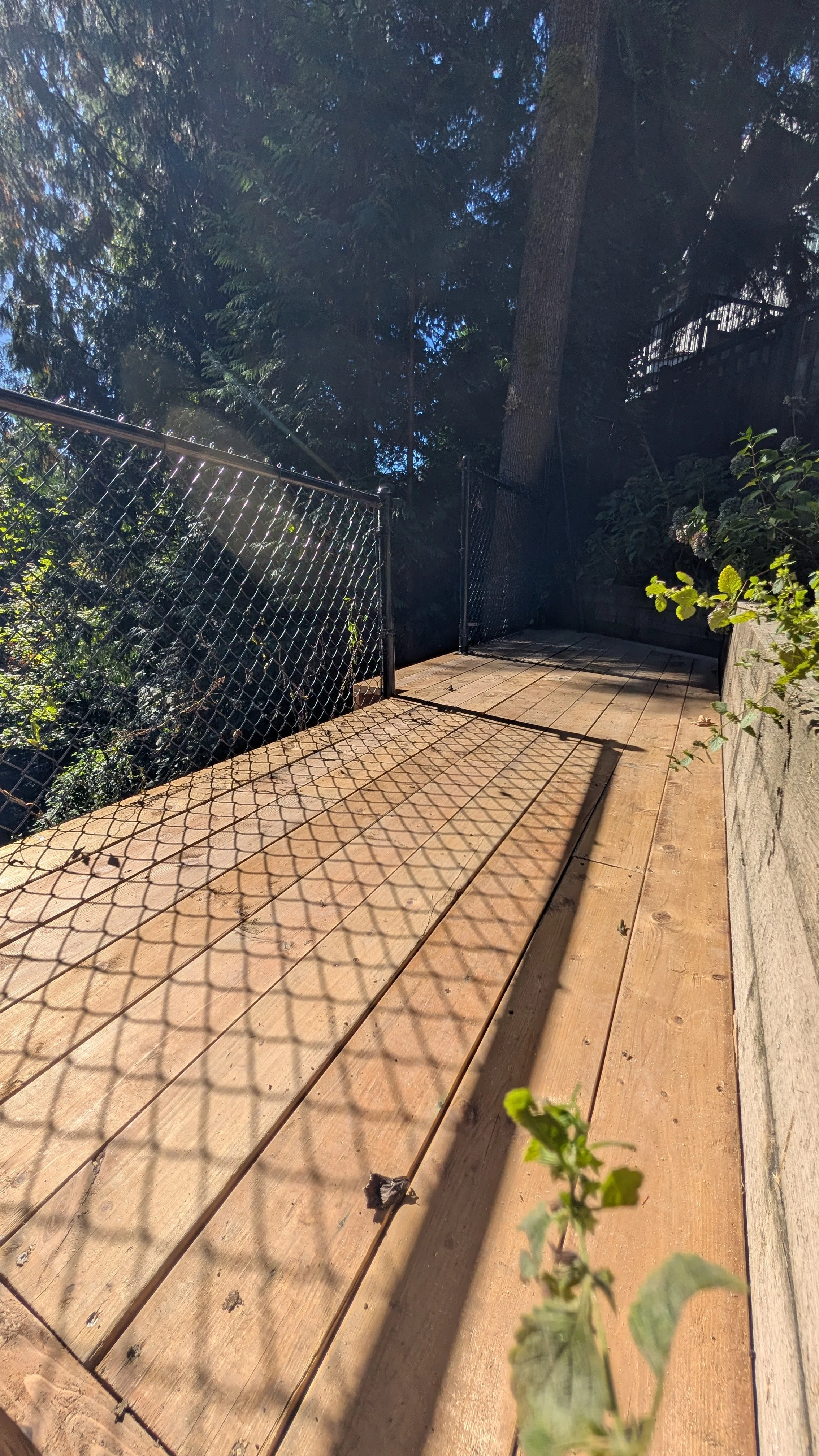 Decks
