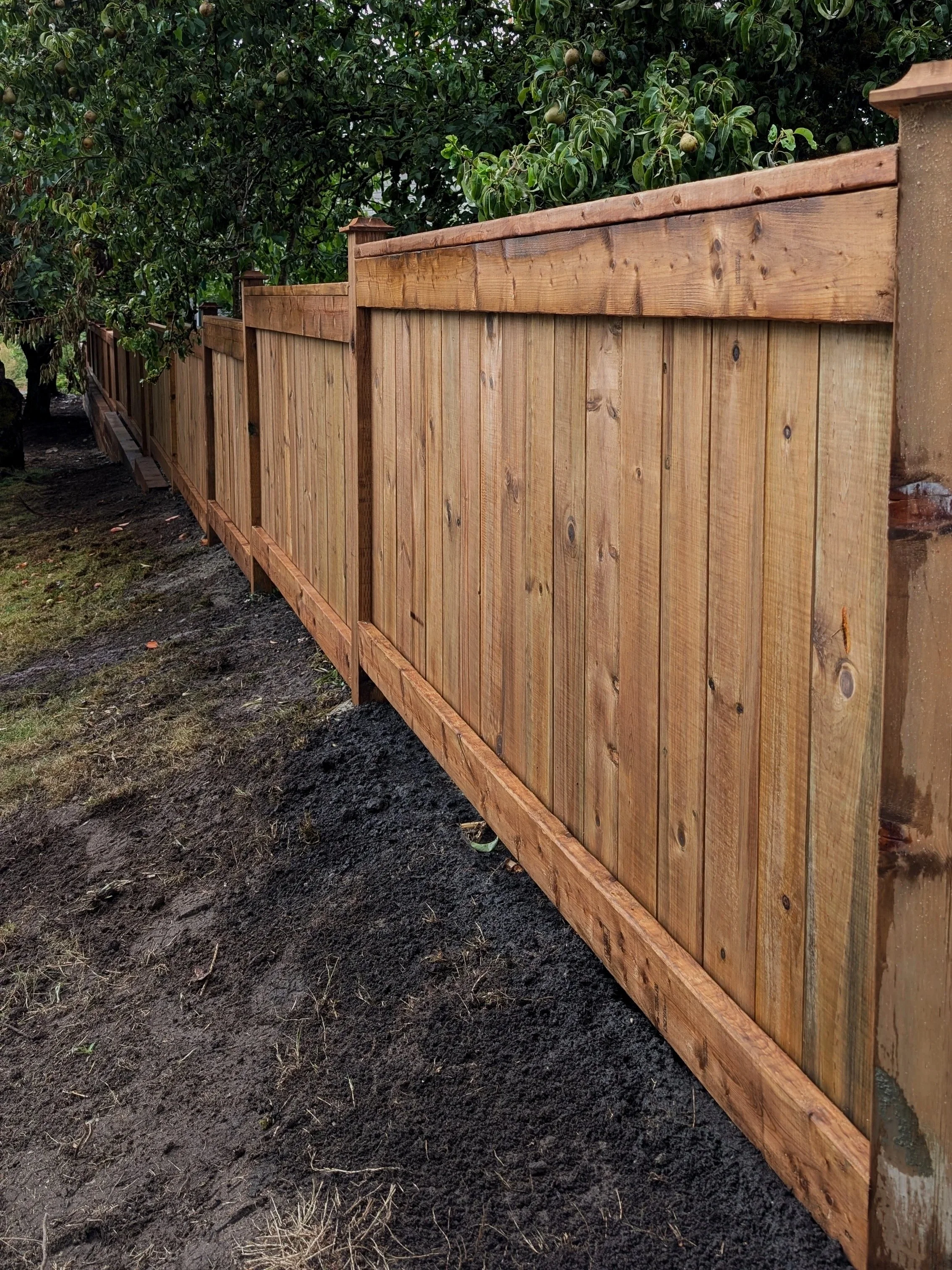 Custom wooden fence - Coquitlam backyard