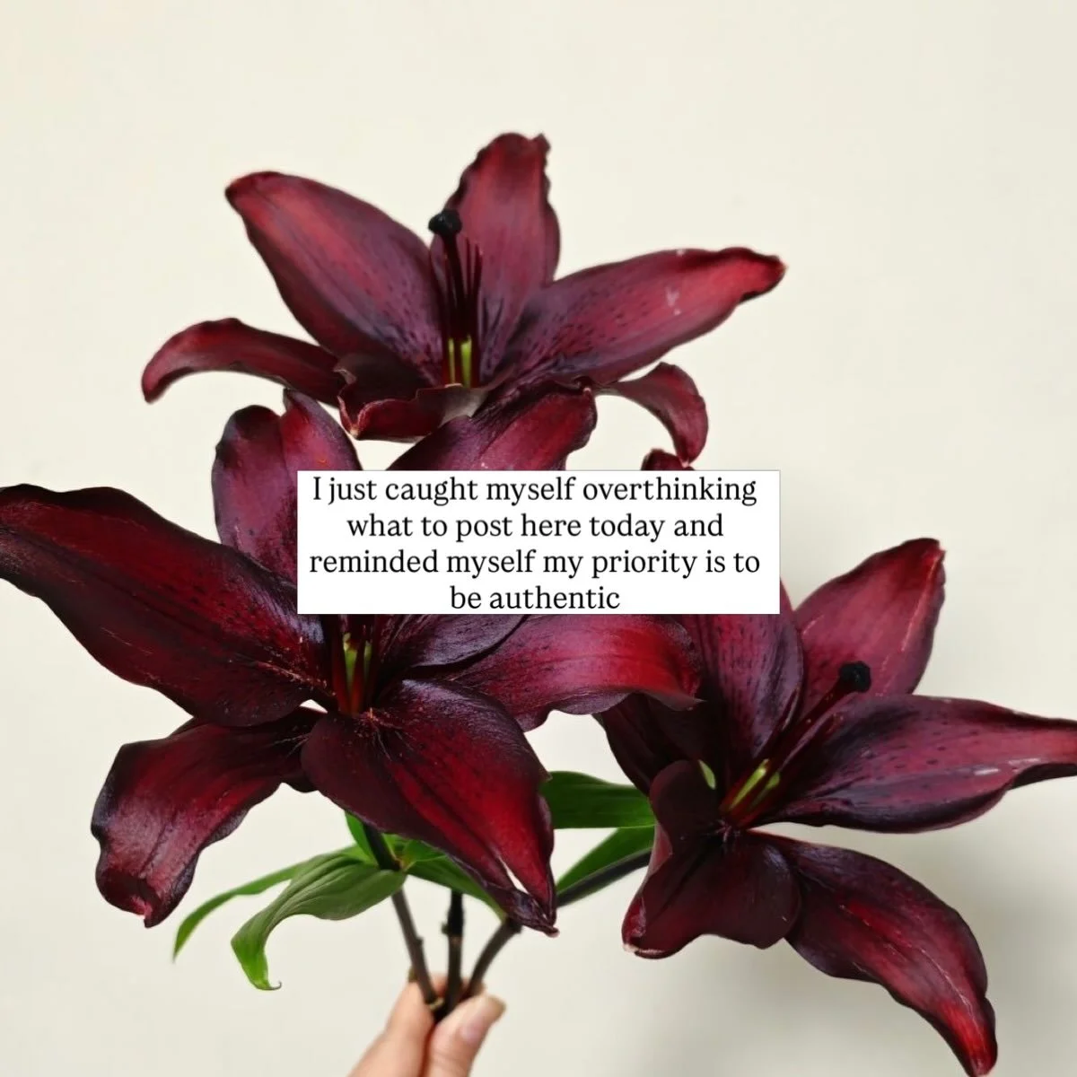 Connecting with people rather than curating a post felt better today