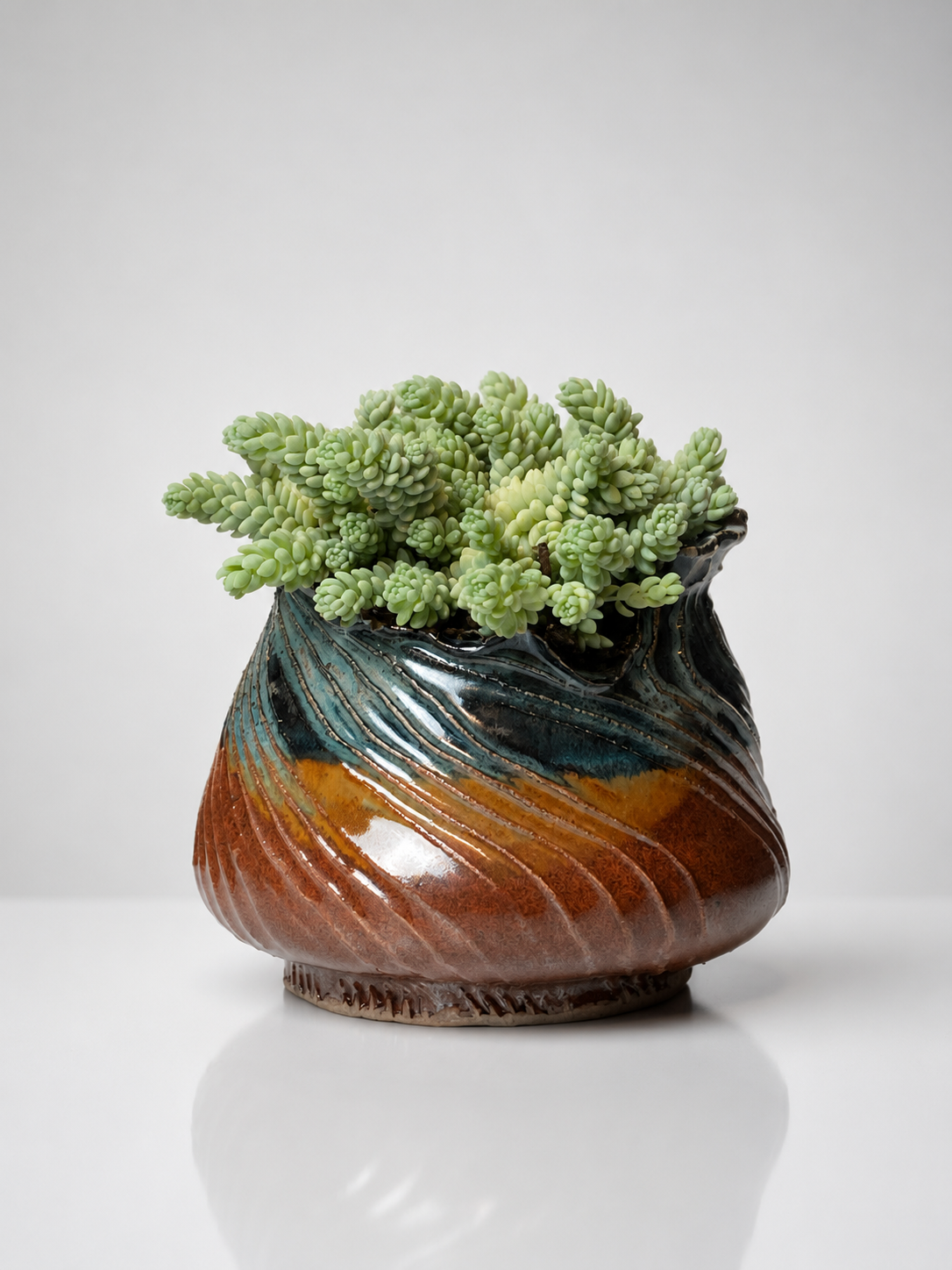 A colorful ceramic pot with green succulent plants.