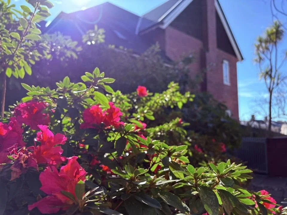Garden Revival