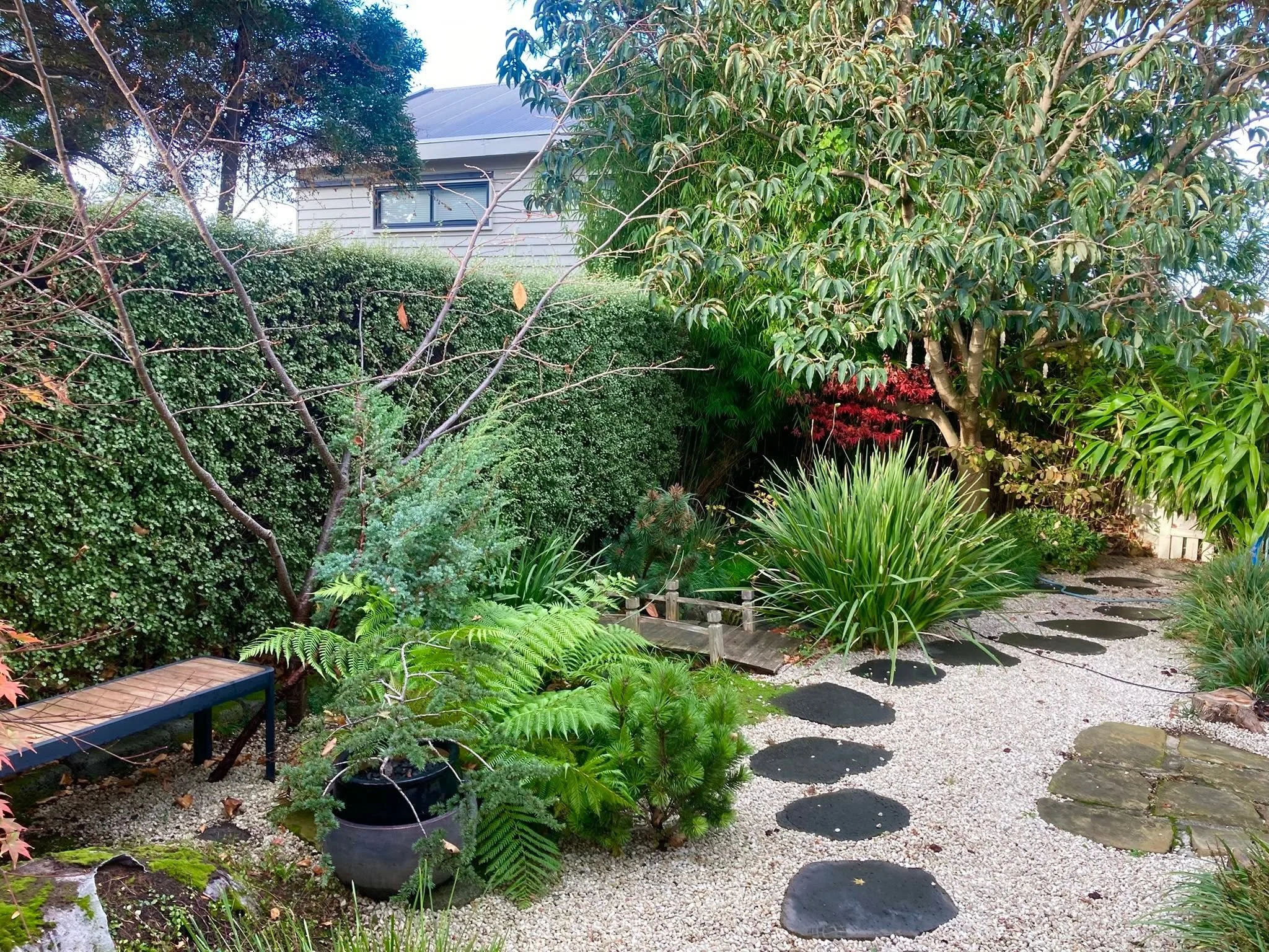 A lush garden with various green plants, trees, and shrubs. There is a gravel pathway with stepping stones and a wooden post with fencing. A house with a window and a metal roof is visible in the background.