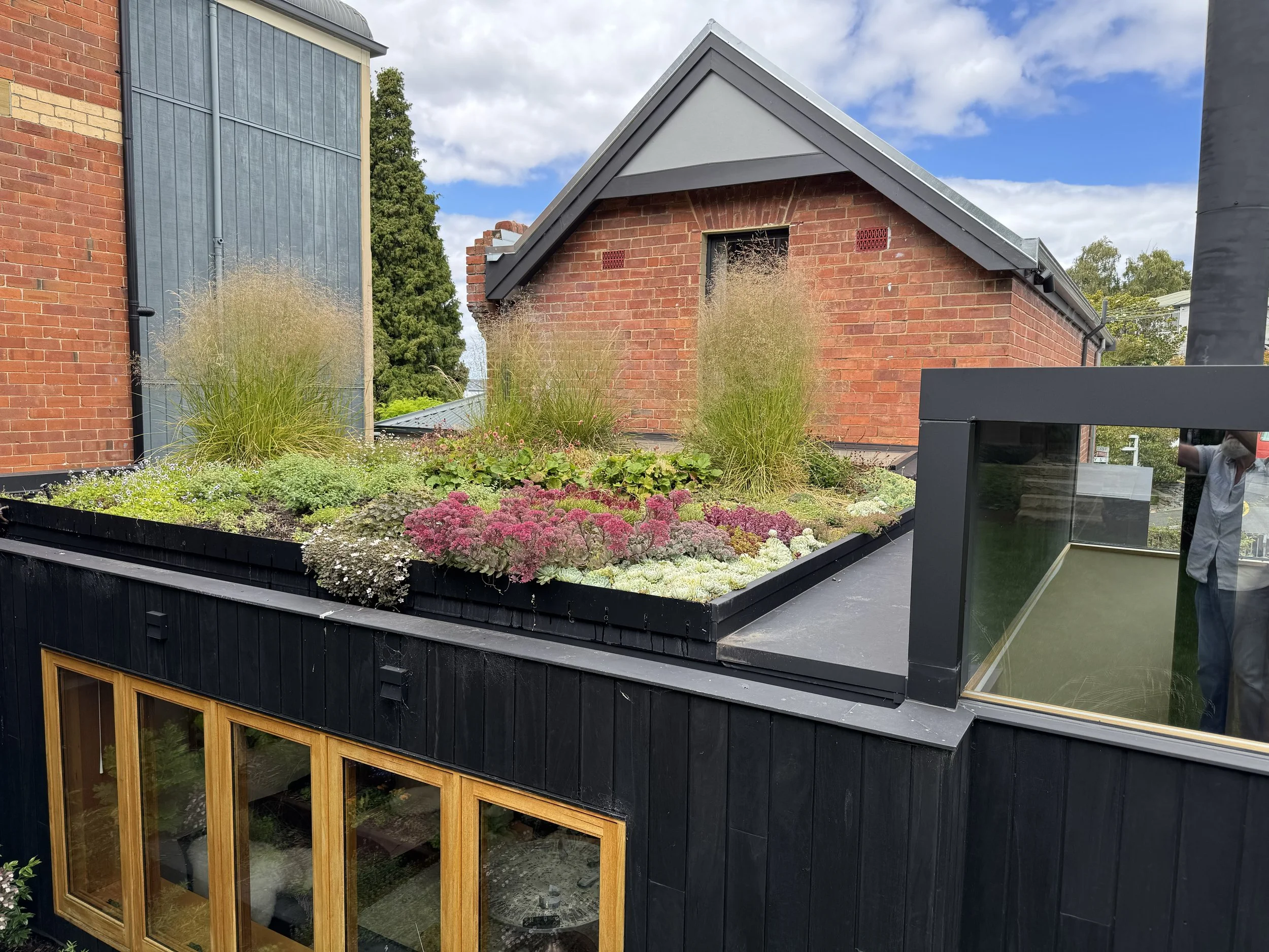 A view of a brick house with a gray sloped roof, a small window, and a garden with various plants and flowers in front. There is a glass structure on the side reflecting part of a person.